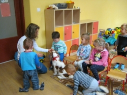 Dogoterapia - zabawy z Abi
