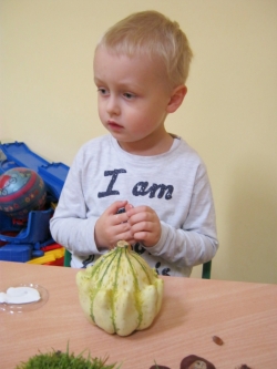 Żabki - Dyniowy Stworek