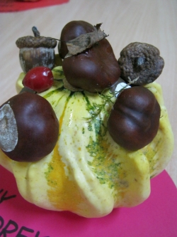 Żabki - Dyniowy Stworek