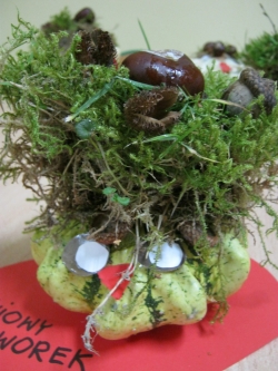 Żabki - Dyniowy Stworek