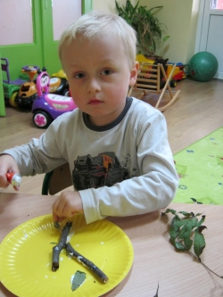 Żabki - Jesienne drzewa