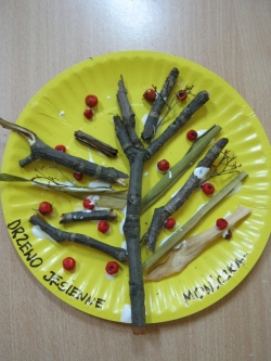 Żabki - Jesienne drzewa