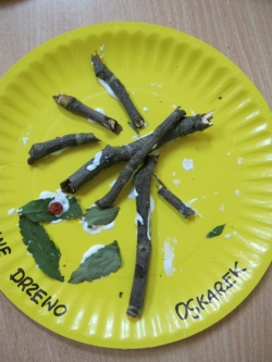 Żabki - Jesienne drzewa