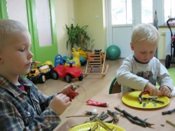 Żabki - Jesienne drzewa