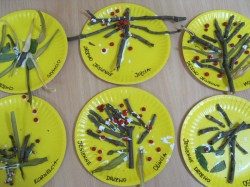 Żabki - Jesienne drzewa