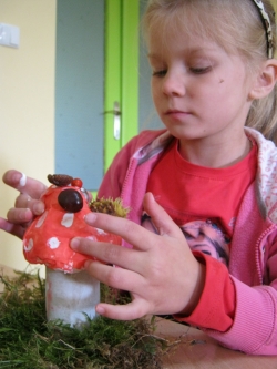 Żabki - Wielkie Grzybobranie