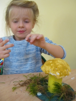 Żabki - Wielkie Grzybobranie