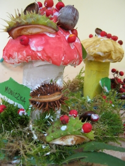 Żabki - Wielkie Grzybobranie