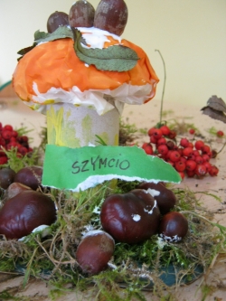 Żabki - Wielkie Grzybobranie