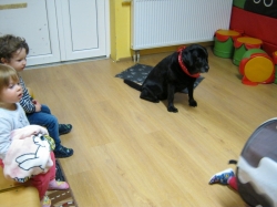 Przedszkole Alutka - Dogoterapia - Sportowe zmagania z Nelą