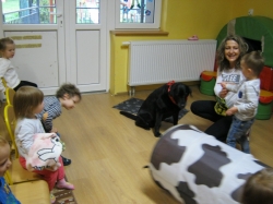 Przedszkole Alutka - Dogoterapia - Sportowe zmagania z Nelą