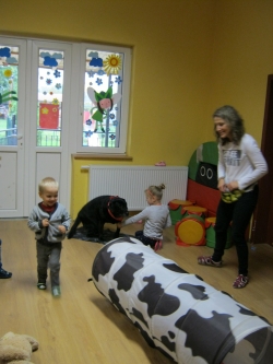 Przedszkole Alutka - Dogoterapia - Sportowe zmagania z Nelą