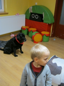 Przedszkole Alutka - Dogoterapia - Sportowe zmagania z Nelą