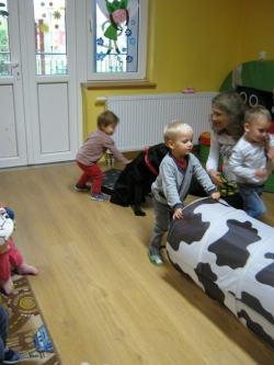 Przedszkole Alutka - Dogoterapia - Sportowe zmagania z Nelą