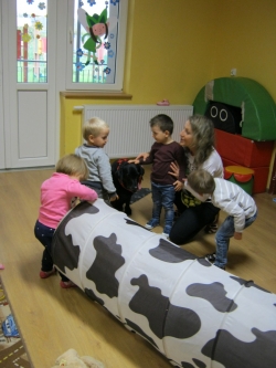 Przedszkole Alutka - Dogoterapia - Sportowe zmagania z Nelą