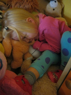 Biedroneczki i Misie - październik 2016