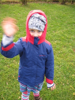 Żabki - listopad 2016