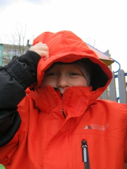 Żabki - listopad 2016