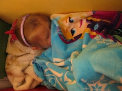 Żabki - listopad 2016