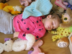 Biedroneczki i Misie - listopad 2016