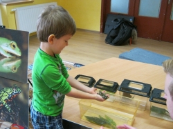 Pokaz płazów, pana Krzysia...