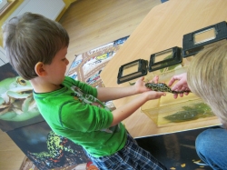 Pokaz płazów, pana Krzysia...