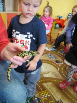 Pokaz płazów, pana Krzysia...