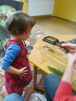 Pokaz płazów, pana Krzysia...