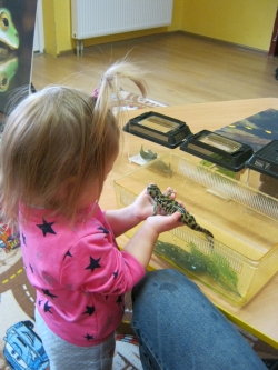 Pokaz płazów, pana Krzysia...