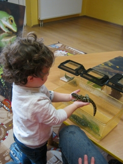 Pokaz płazów, pana Krzysia...